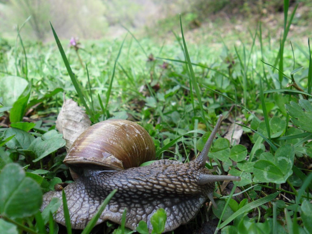 Натиснете снимката за да я уголемите

Име:SAM_1835.jpg
Прегледи:2
Размер:150.8 КБ
ID:5366323