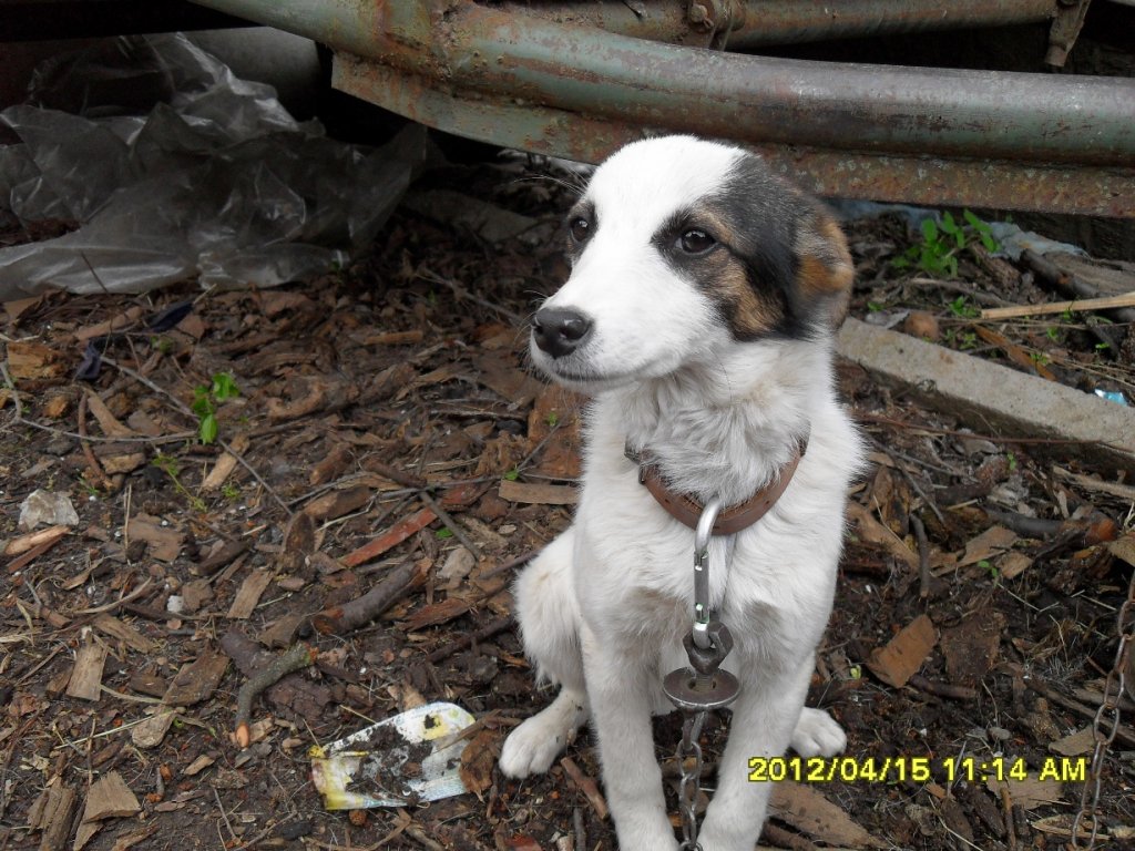 Натиснете снимката за да я уголемите

Име:SDC13504-.jpg
Прегледи:1
Размер:194.5 КБ
ID:5366369