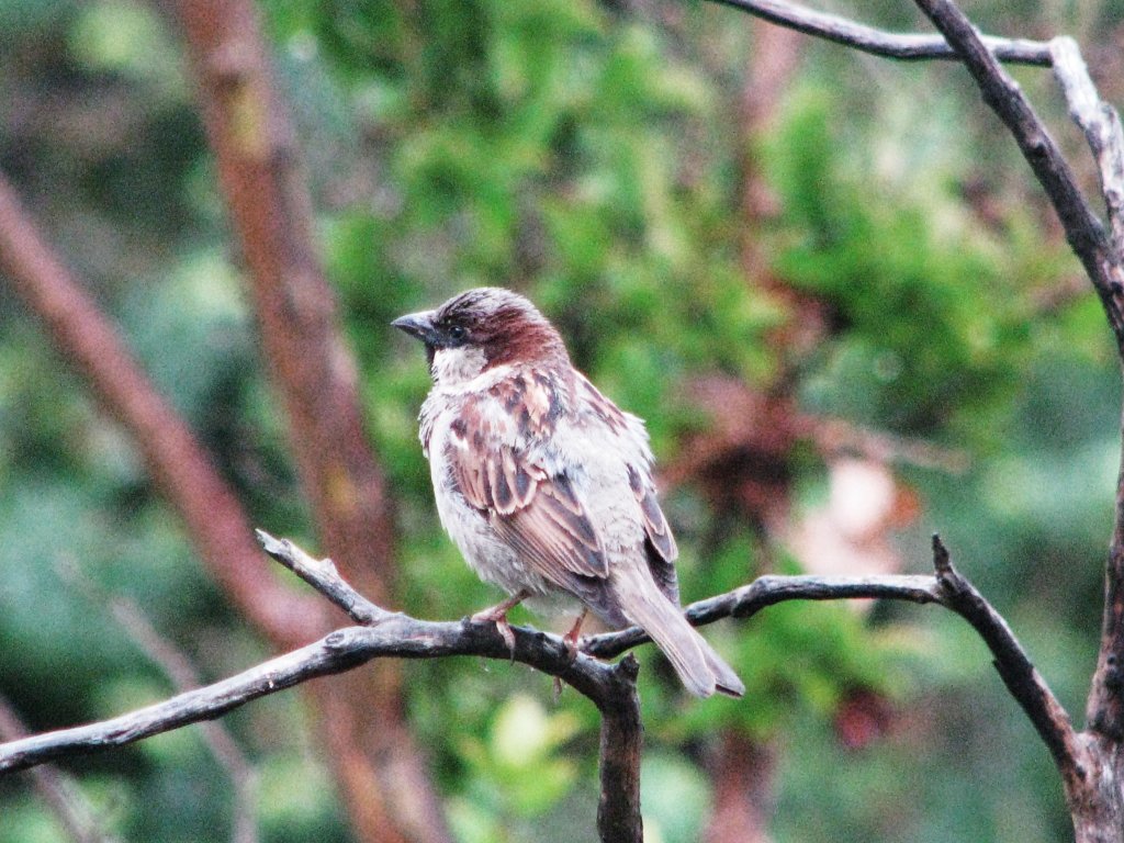 Натиснете снимката за да я уголемите

Име:088.jpg
Прегледи:1
Размер:175.6 КБ
ID:5378586