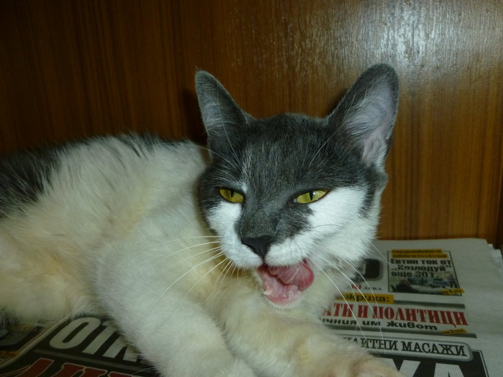 Натиснете снимката за да я уголемите

Име:P1010684.jpg
Прегледи:1
Размер:119.6 КБ
ID:5379390