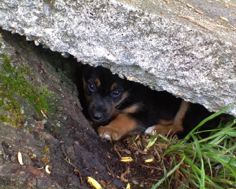 Натиснете снимката за да я уголемите

Име:DSC01620.jpg
Прегледи:1
Размер:208.7 КБ
ID:5382212