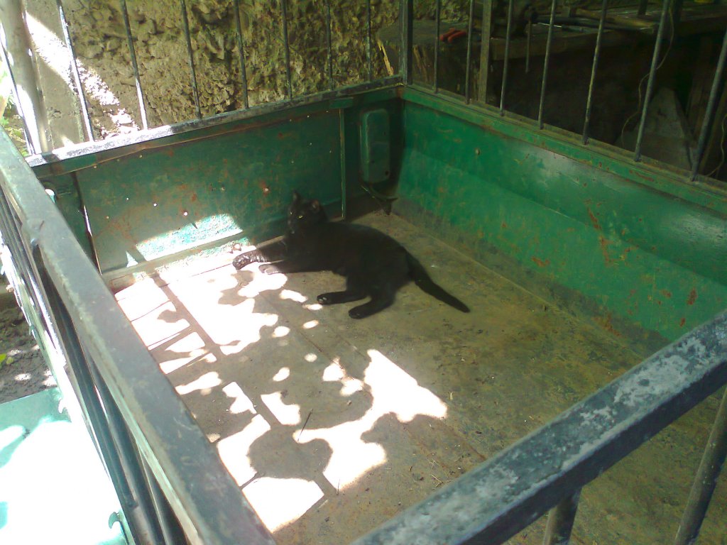 Натиснете снимката за да я уголемите

Име:Снимка3572.jpg
Прегледи:1
Размер:143.3 КБ
ID:5384601