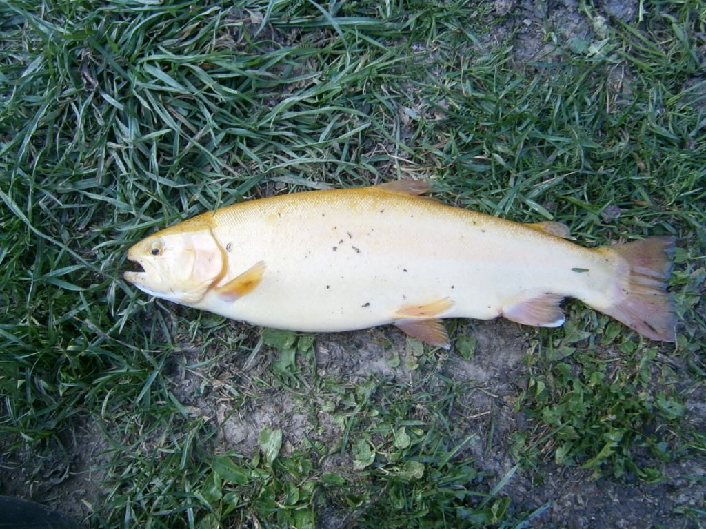 Натиснете снимката за да я уголемите

Име:PA200009.jpg
Прегледи:1
Размер:217.7 КБ
ID:5419499