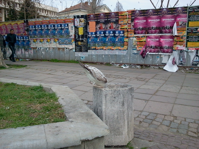Натиснете снимката за да я уголемите

Име:2012-03-28 15.03.04.jpg
Прегледи:1
Размер:272.6 КБ
ID:5419636