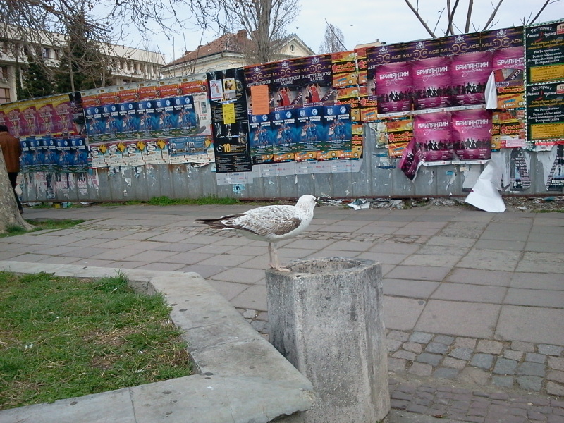 Натиснете снимката за да я уголемите

Име:2012-03-28 15.03.15.jpg
Прегледи:1
Размер:282.0 КБ
ID:5419638