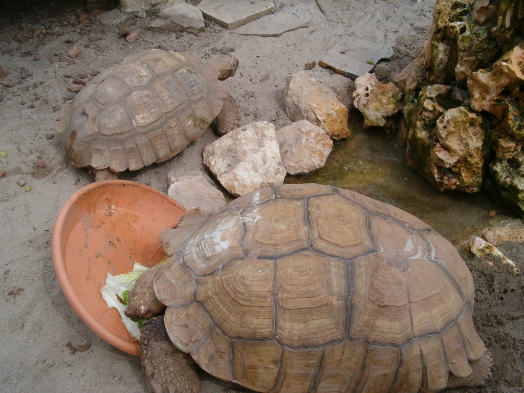 Натиснете снимката за да я уголемите

Име:Picture 1032.jpg
Прегледи:1
Размер:180.1 КБ
ID:5419639