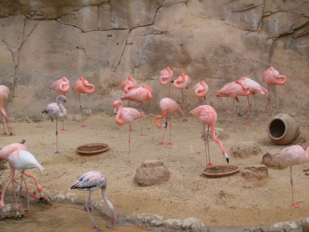 Натиснете снимката за да я уголемите

Име:Picture 1031.jpg
Прегледи:1
Размер:151.4 КБ
ID:5419640