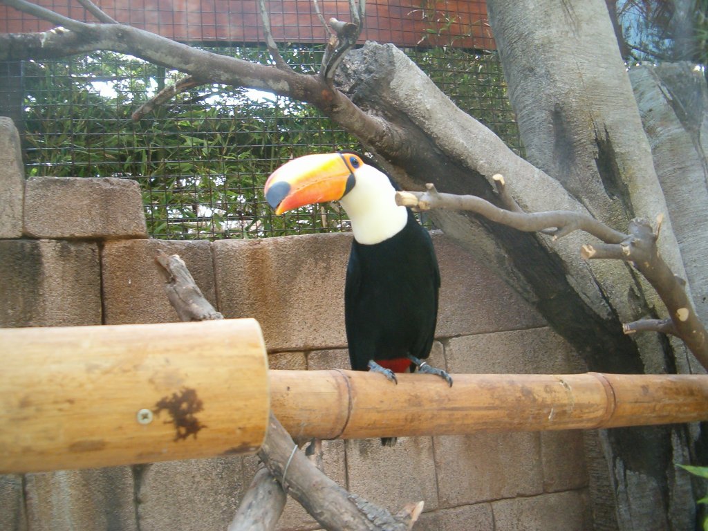 Натиснете снимката за да я уголемите

Име:Picture 1043.jpg
Прегледи:1
Размер:177.6 КБ
ID:5419641