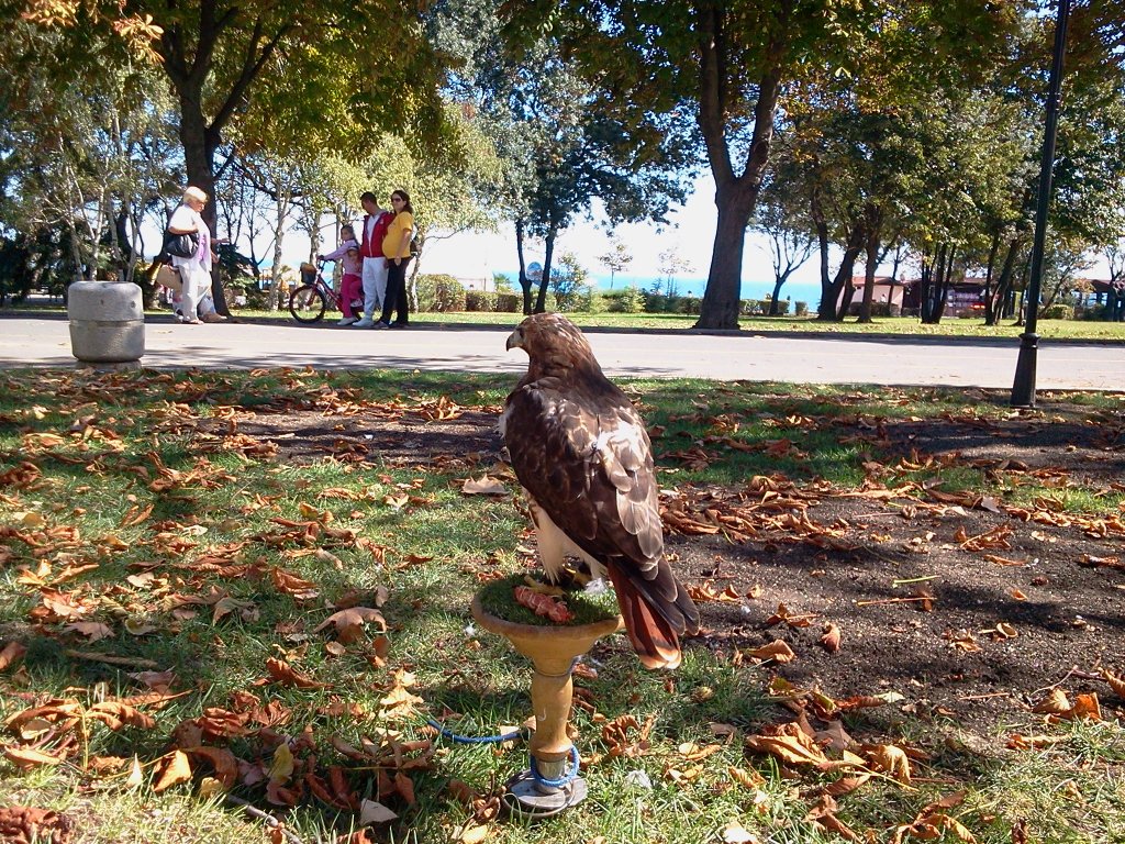 Натиснете снимката за да я уголемите

Име:2012-09-23 13.17.40.jpg
Прегледи:1
Размер:372.5 КБ
ID:5419642