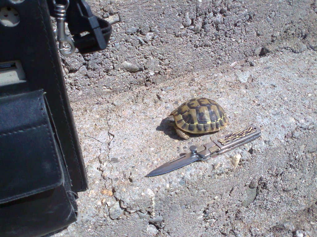 Натиснете снимката за да я уголемите

Име:Снимка3738.jpg
Прегледи:2
Размер:283.2 КБ
ID:5421171