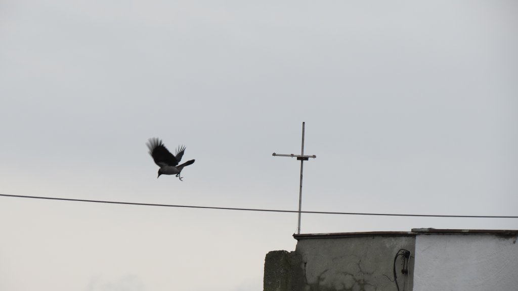 Натиснете снимката за да я уголемите

Име:IMG_1428.jpg
Прегледи:1
Размер:25.1 КБ
ID:5436669