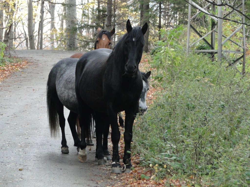 Натиснете снимката за да я уголемите

Име:DSC00052.jpg
Прегледи:1
Размер:207.4 КБ
ID:5436692