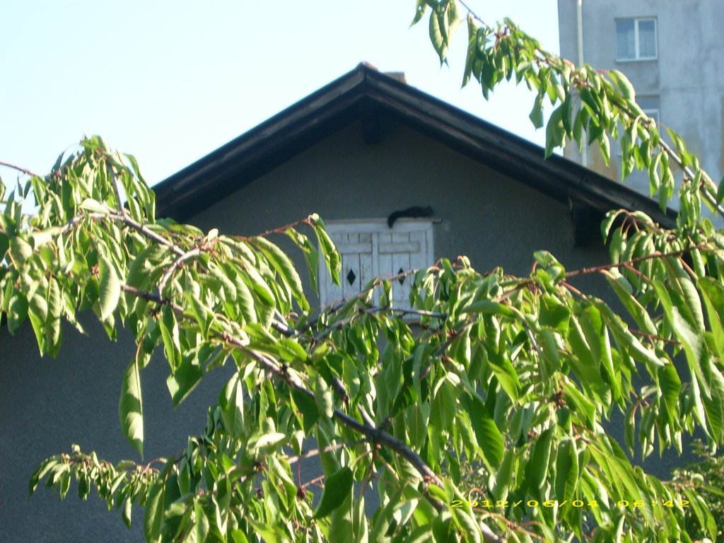 Натиснете снимката за да я уголемите

Име:DSCI0043.jpg
Прегледи:1
Размер:177.3 КБ
ID:5436704