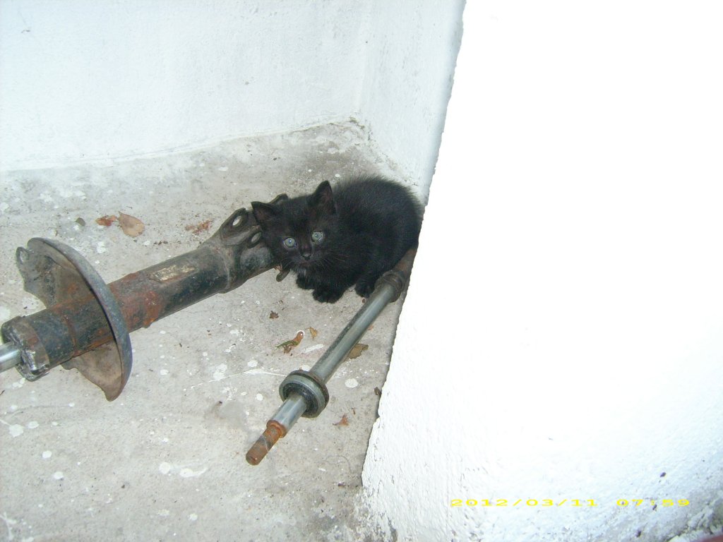 Натиснете снимката за да я уголемите

Име:DSCI0019.jpg
Прегледи:1
Размер:96.1 КБ
ID:5436705