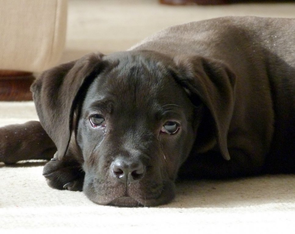 Натиснете снимката за да я уголемите

Име:P1040401.jpg
Прегледи:1
Размер:102.0 КБ
ID:5436707