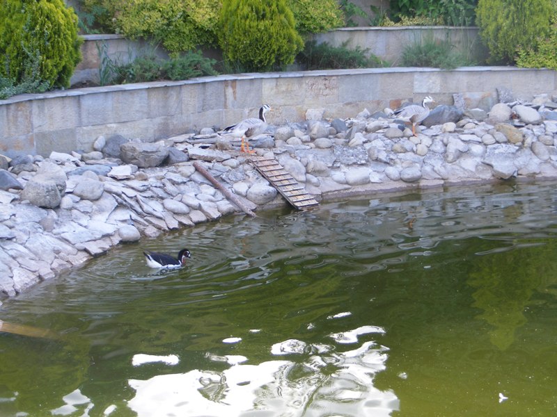 Натиснете снимката за да я уголемите

Име:DSCF2403-1.JPG
Прегледи:1
Размер:128.7 КБ
ID:5486505