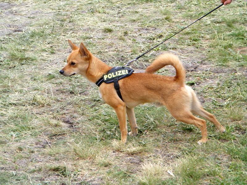 Натиснете снимката за да я уголемите

Име:DSCF2300-1.JPG
Прегледи:1
Размер:148.7 КБ
ID:5486506