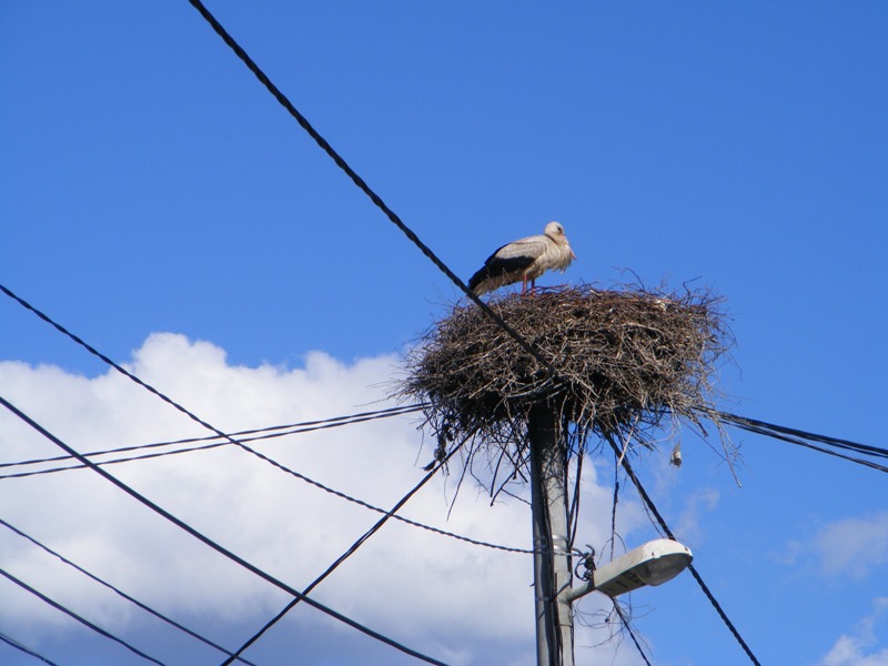 Натиснете снимката за да я уголемите

Име:DSCF2397-1.JPG
Прегледи:1
Размер:94.3 КБ
ID:5486507
