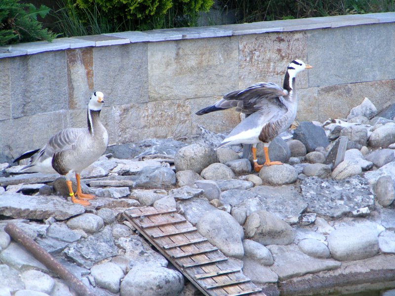 Натиснете снимката за да я уголемите

Име:DSCF2402-1.JPG
Прегледи:1
Размер:140.2 КБ
ID:5486509