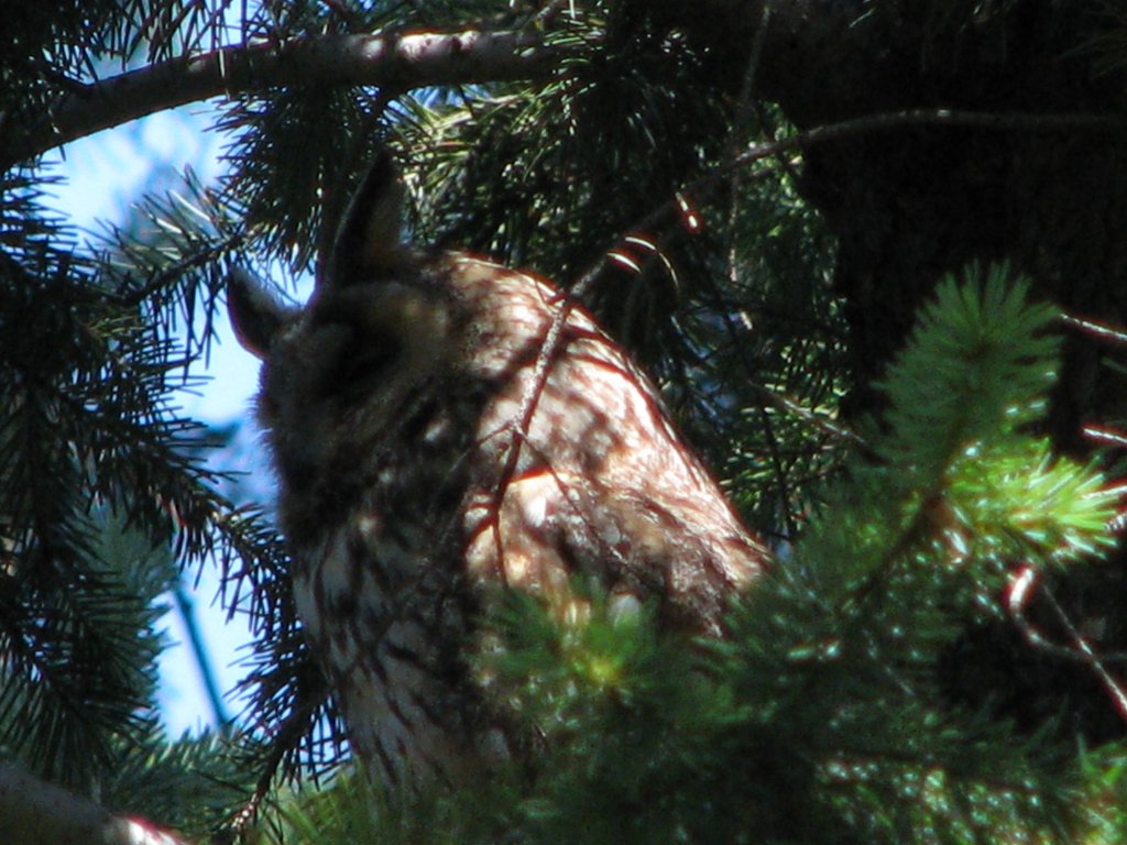 Натиснете снимката за да я уголемите

Име:Мещица 101.jpg
Прегледи:1
Размер:151.1 КБ
ID:5499002