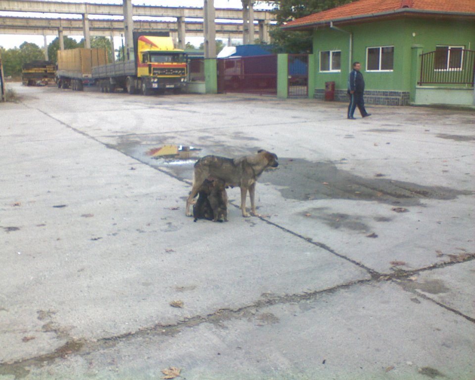 Натиснете снимката за да я уголемите

Име:DSC01850.jpg
Прегледи:1
Размер:123.3 КБ
ID:5468824