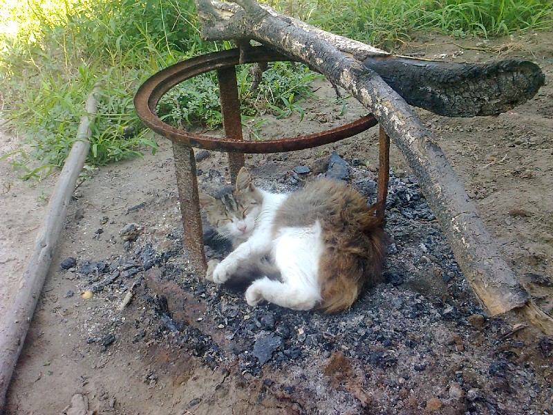 Натиснете снимката за да я уголемите

Име:Снимка0019м.jpg
Прегледи:1
Размер:248.1 КБ
ID:5582595