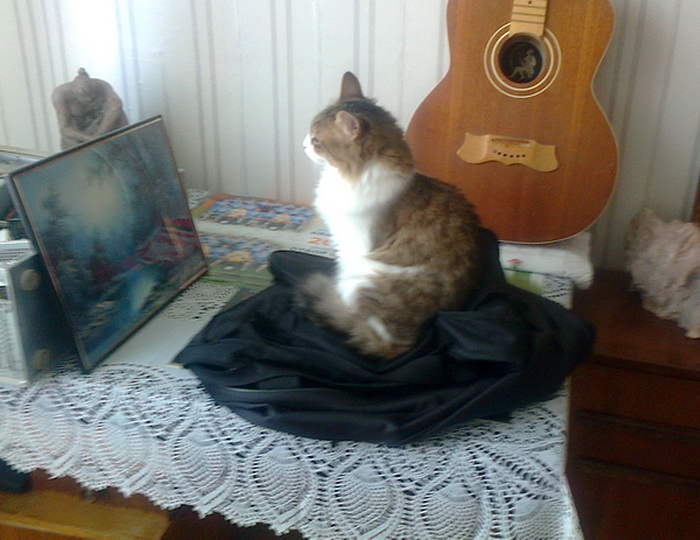 Натиснете снимката за да я уголемите

Име:maca.jpg
Прегледи:1
Размер:139.0 КБ
ID:5589921