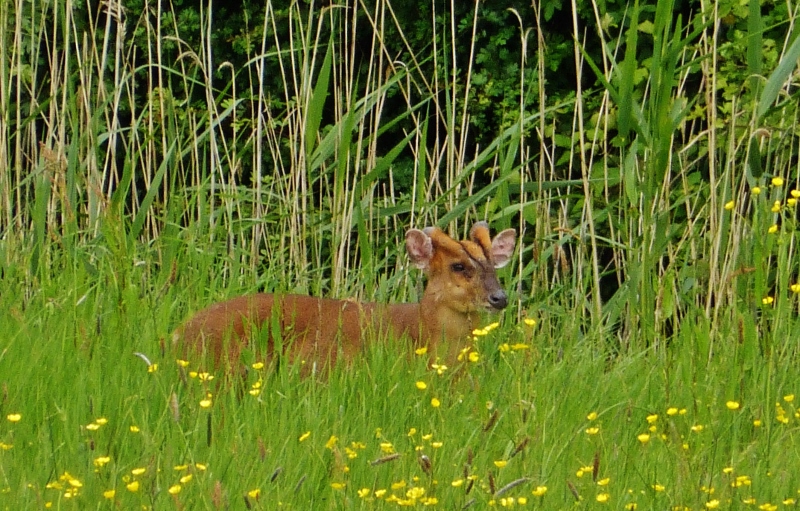Натиснете снимката за да я уголемите

Име:12.jpg
Прегледи:1
Размер:390.1 КБ
ID:5591310