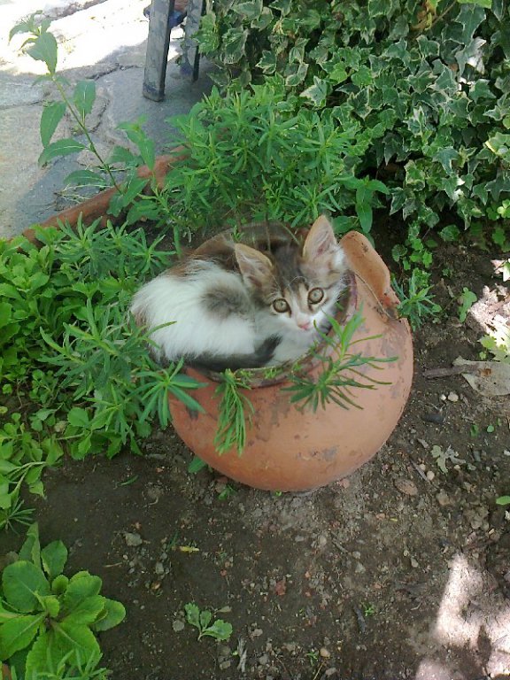 Натиснете снимката за да я уголемите

Име:m1.jpg
Прегледи:1
Размер:136.6 КБ
ID:5593249