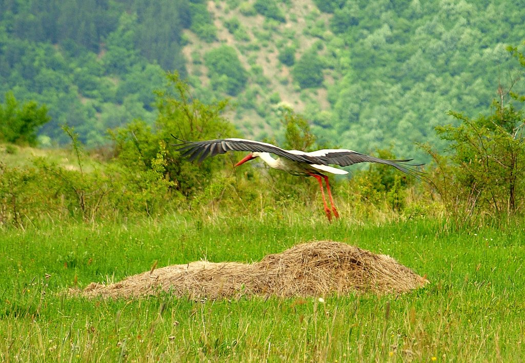 Натиснете снимката за да я уголемите

Име:P5129934.jpg
Прегледи:1
Размер:234.3 КБ
ID:5489667