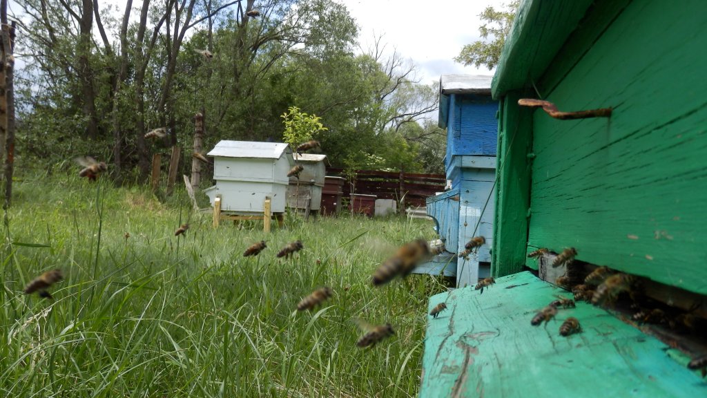 Натиснете снимката за да я уголемите

Име:P6051249.jpg
Прегледи:1
Размер:157.5 КБ
ID:5490402