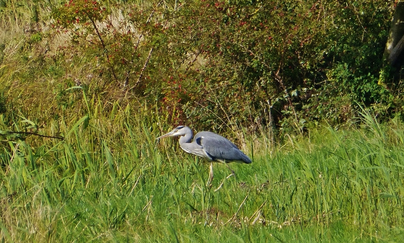 Натиснете снимката за да я уголемите

Име:1.jpg
Прегледи:1
Размер:448.3 КБ
ID:5684937