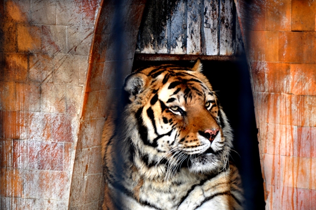 Натиснете снимката за да я уголемите

Име:_DSC0904_1.jpg
Прегледи:1
Размер:267.3 КБ
ID:5449030