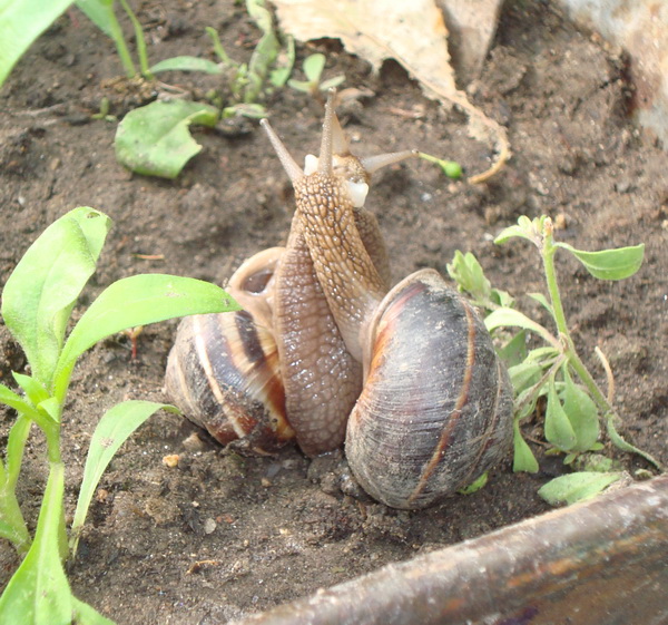 Натиснете снимката за да я уголемите

Име:DSC01600m.jpg
Прегледи:1
Размер:179.7 КБ
ID:5497178