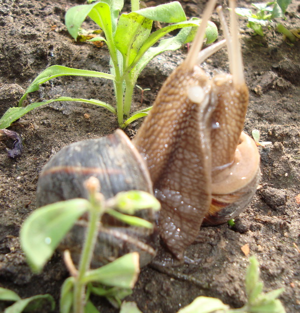 Натиснете снимката за да я уголемите

Име:DSC01601m.jpg
Прегледи:1
Размер:198.5 КБ
ID:5497179