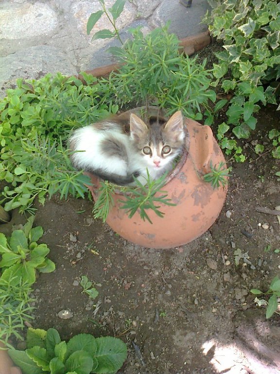 Натиснете снимката за да я уголемите

Име:m2.jpg
Прегледи:1
Размер:135.3 КБ
ID:5593250