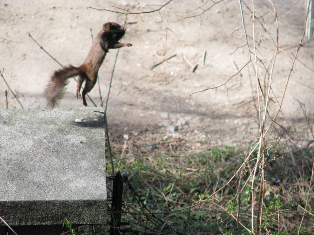 Натиснете снимката за да я уголемите

Име:057.jpg
Прегледи:1
Размер:165.4 КБ
ID:5666152