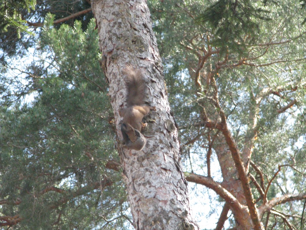 Натиснете снимката за да я уголемите

Име:061.jpg
Прегледи:1
Размер:222.8 КБ
ID:5666153