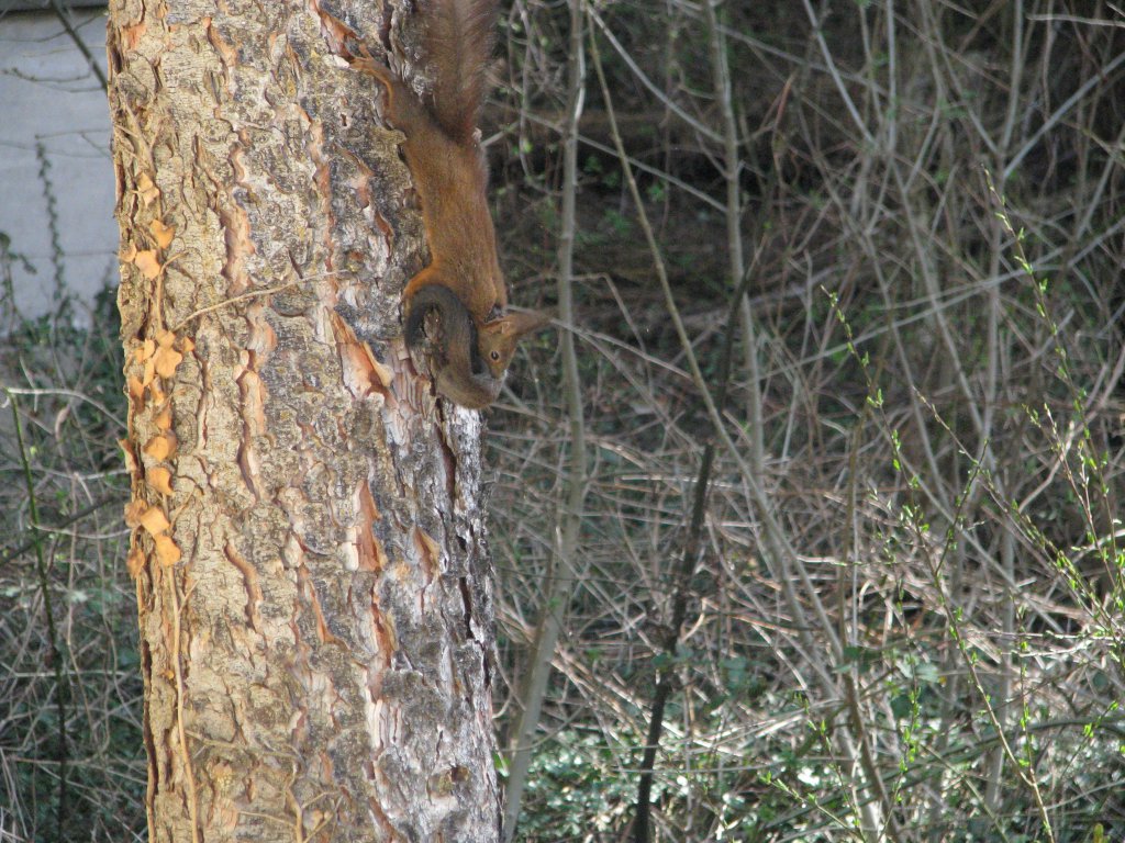Натиснете снимката за да я уголемите

Име:063.jpg
Прегледи:1
Размер:223.4 КБ
ID:5666155