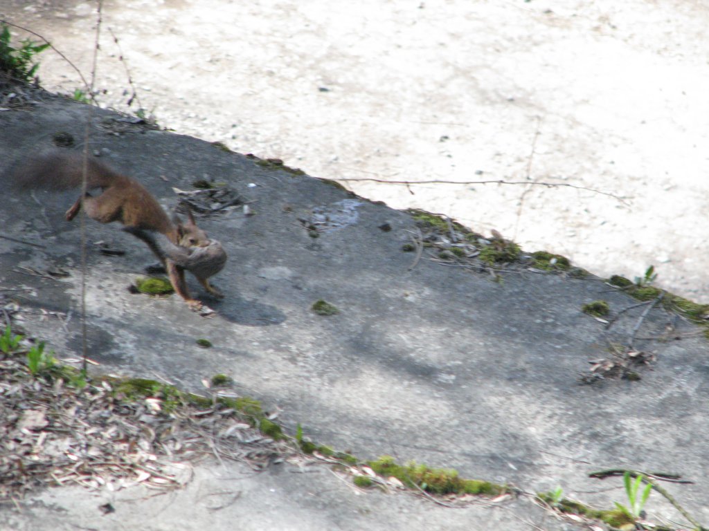 Натиснете снимката за да я уголемите

Име:066.jpg
Прегледи:1
Размер:139.9 КБ
ID:5666156
