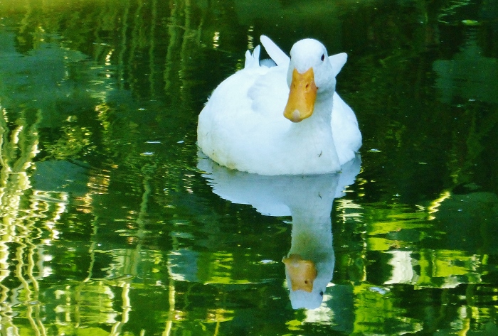 Натиснете снимката за да я уголемите

Име:1.jpg
Прегледи:1
Размер:270.6 КБ
ID:5666353