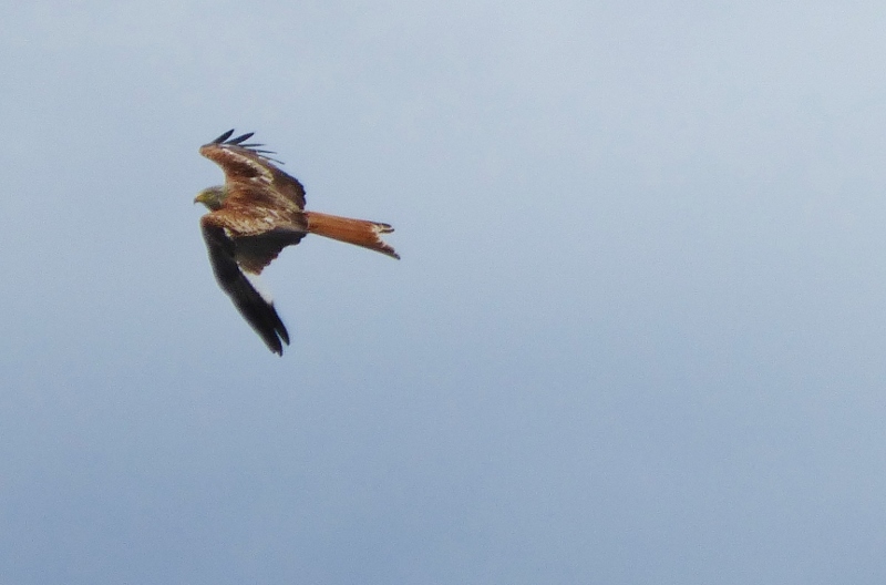 Натиснете снимката за да я уголемите

Име:1 (800x528).jpg
Прегледи:1
Размер:162.7 КБ
ID:5676895