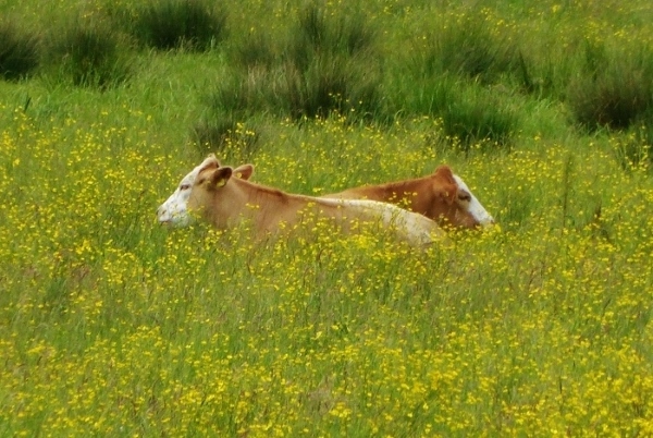 Натиснете снимката за да я уголемите

Име:1.jpg
Прегледи:1
Размер:219.6 КБ
ID:5677556