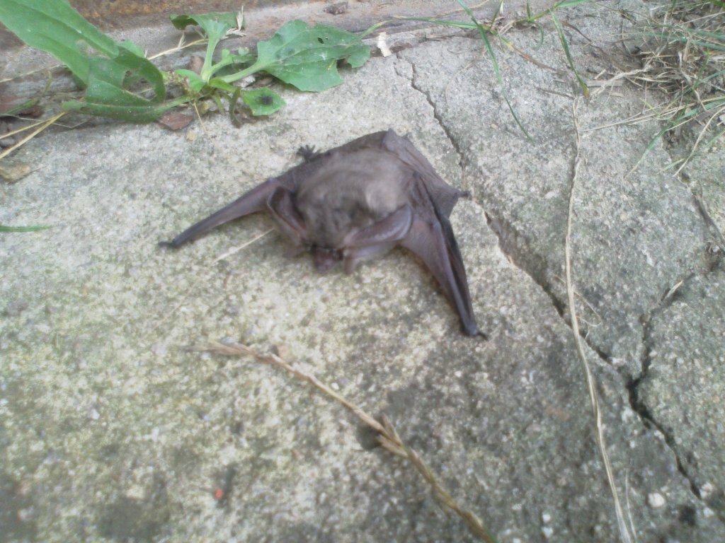 Натиснете снимката за да я уголемите

Име:15102014442.jpg
Прегледи:1
Размер:174.5 КБ
ID:5617156