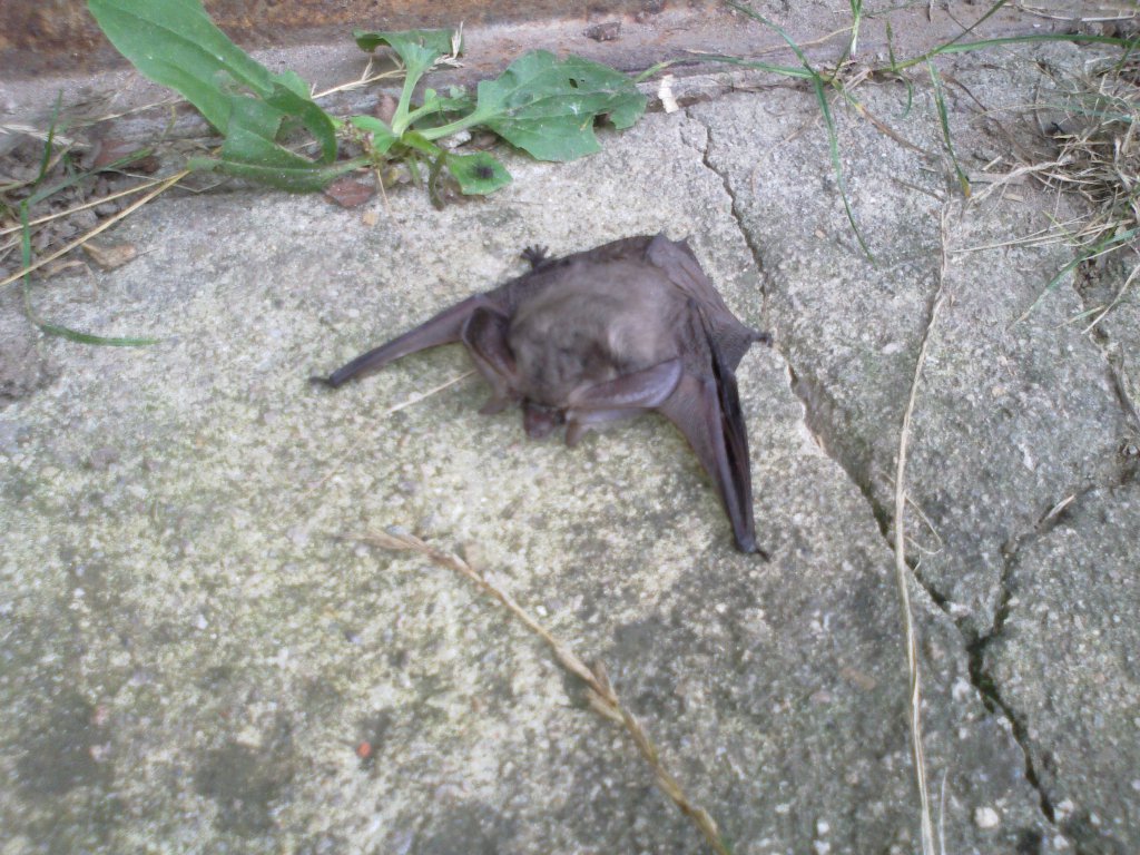 Натиснете снимката за да я уголемите

Име:15102014443.jpg
Прегледи:1
Размер:193.3 КБ
ID:5617157