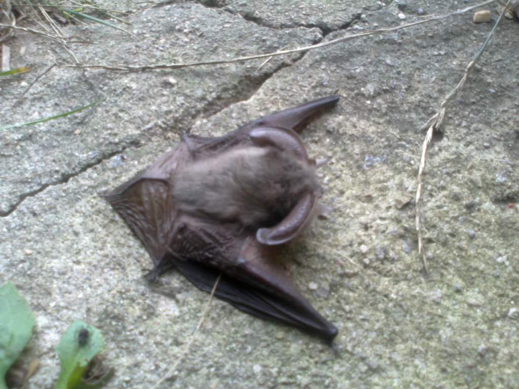 Натиснете снимката за да я уголемите

Име:15102014441.jpg
Прегледи:1
Размер:174.4 КБ
ID:5617158