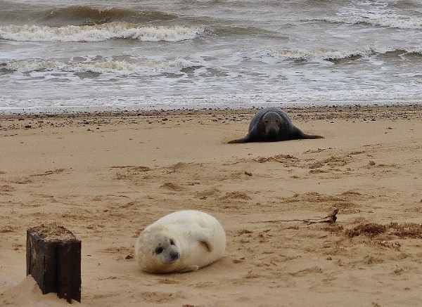 Натиснете снимката за да я уголемите

Име:1 (6).jpg
Прегледи:1
Размер:231.9 КБ
ID:5640864