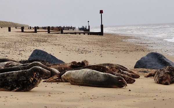 Натиснете снимката за да я уголемите

Име:1 (9).jpg
Прегледи:1
Размер:196.8 КБ
ID:5640865