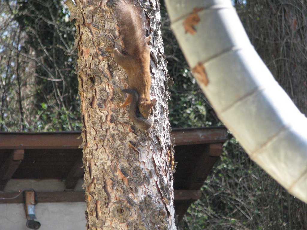 Натиснете снимката за да я уголемите

Име:062.jpg
Прегледи:1
Размер:174.9 КБ
ID:5666154