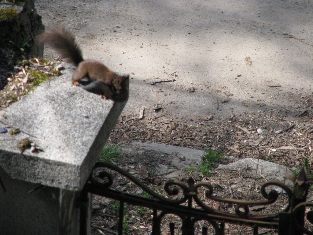 Натиснете снимката за да я уголемите

Име:067.jpg
Прегледи:1
Размер:192.0 КБ
ID:5666157